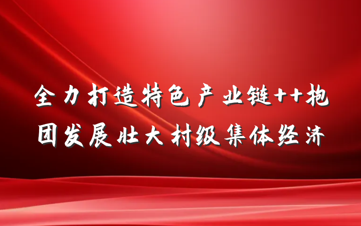 全力打造特色产业链  抱团发展壮大村级集体经济