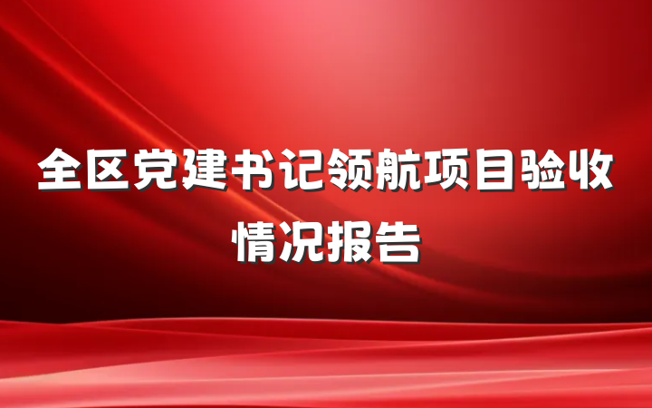 全区党建书记领航项目验收情况报告