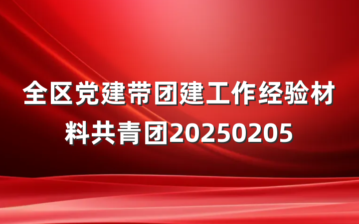 全区党建带团建工作经验材料共青团20250205