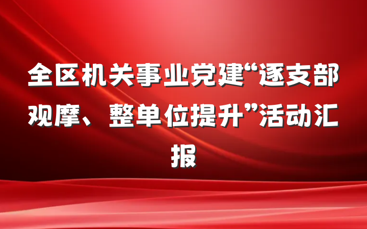 全区机关事业党建“逐支部观摩、整单位提升”活动汇报