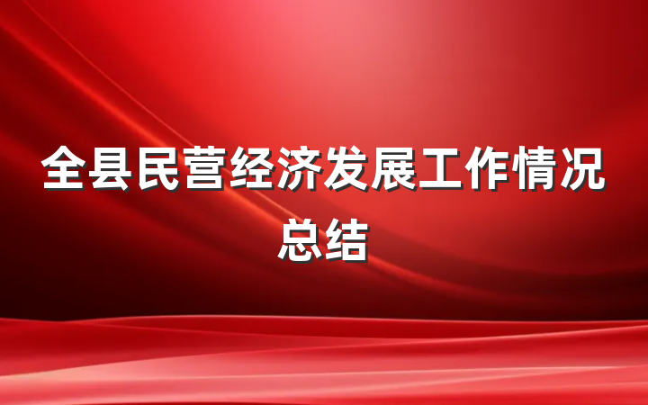 全县民营经济发展工作情况总结