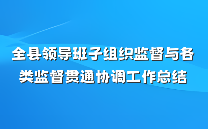 全县领导班子组织监督与各类监督贯通协调工作总结