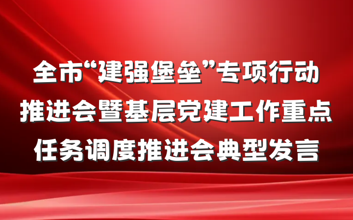 全市“建强堡垒”专项行动推进会暨基层党建工作重点任务调度推进会典型发言