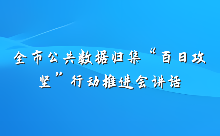 全市公共数据归集“百日攻坚”行动推进会讲话