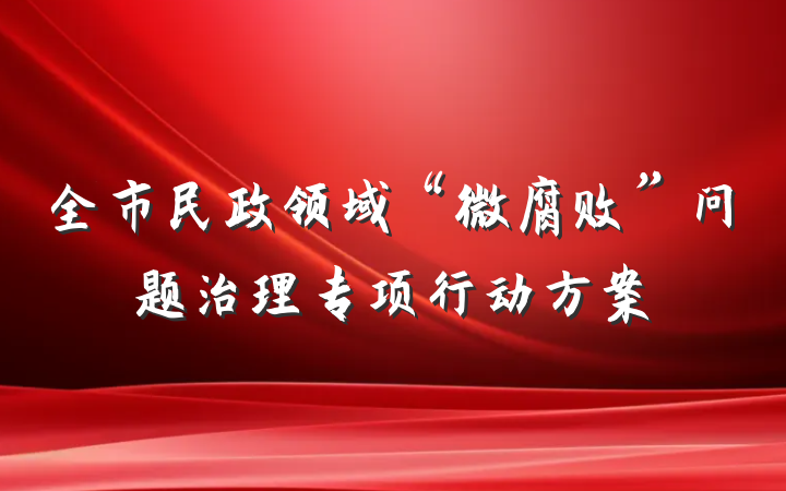 全市民政领域“微腐败”问题治理专项行动方案