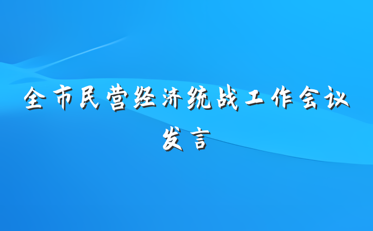 全市民营经济统战工作会议发言
