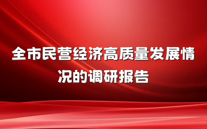 全市民营经济高质量发展情况的调研报告