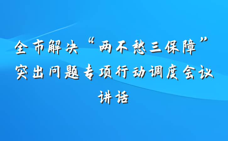 全市解决“两不愁三保障”突出问题专项行动调度会议讲话