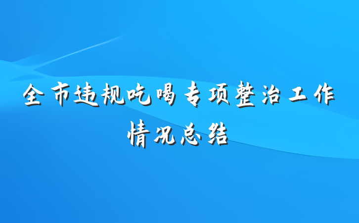 全市违规吃喝专项整治工作情况总结