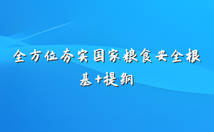 全方位夯实国家粮食安全根基 提纲
