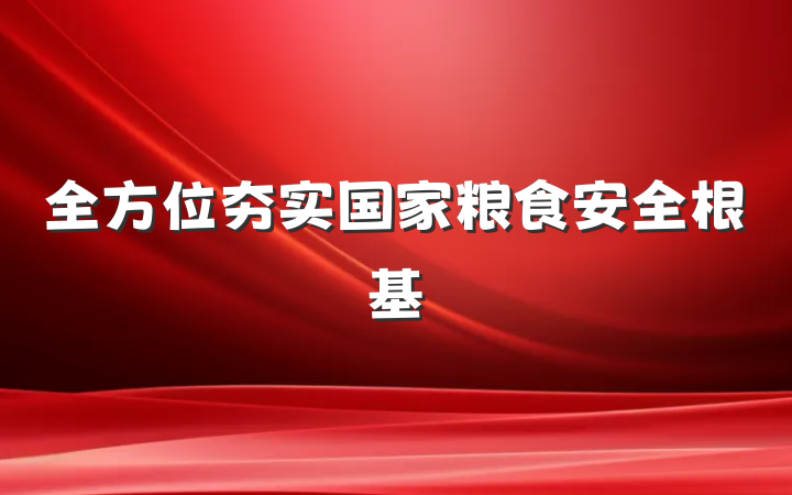 全方位夯实国家粮食安全根基