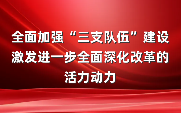 全面加强“三支队伍”建设激发进一步全面深化改革的活力动力