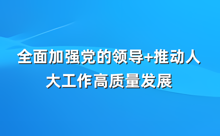 全面加强党的领导 推动人大工作高质量发展