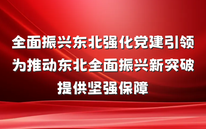 全面振兴东北强化党建引领为推动东北全面振兴新突破提供坚强保障