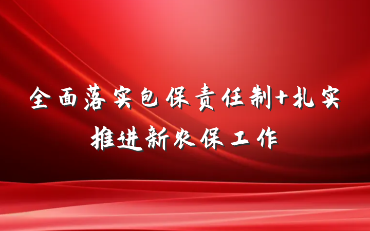 全面落实包保责任制 扎实推进新农保工作