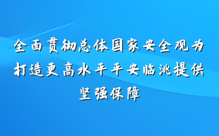 全面贯彻总体国家安全观为打造更高水平平安临洮提供坚强保障