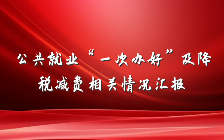 公共就业“一次办好”及降税减费相关情况汇报