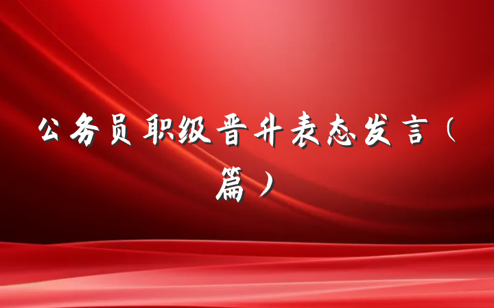 公务员职级晋升表态发言（篇）