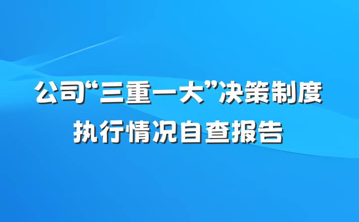 公司“三重一大”决策制度执行情况自查报告