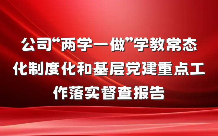 公司“两学一做”学教常态化制度化和基层党建重点工作落实督查报告