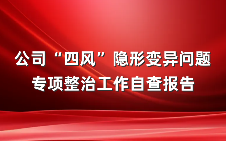 公司“四风”隐形变异问题专项整治工作自查报告