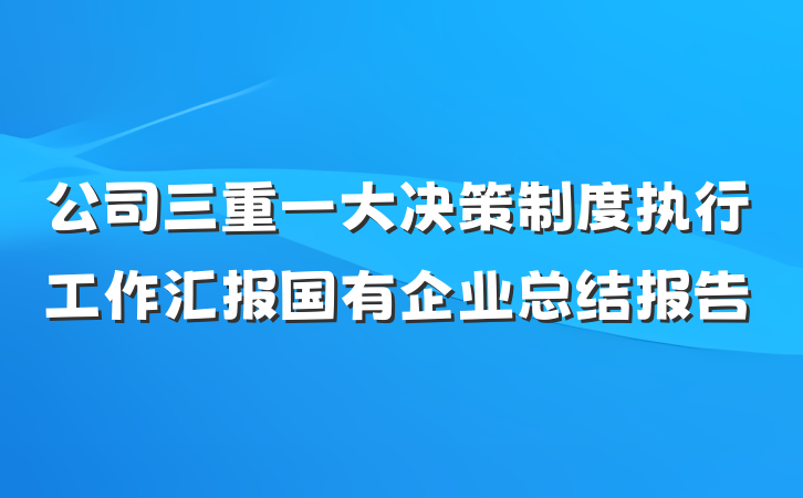 公司三重一大决策制度执行工作汇报国有企业总结报告