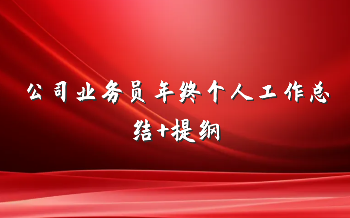 公司业务员年终个人工作总结 提纲