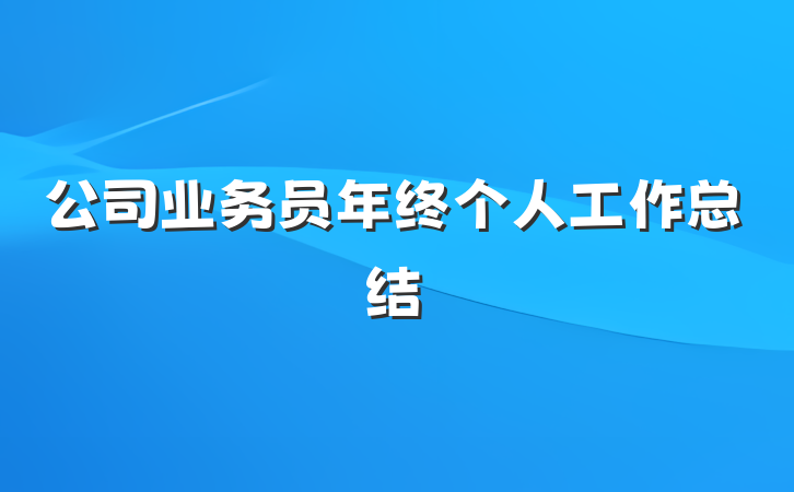 公司业务员年终个人工作总结