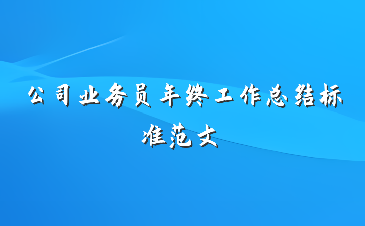公司业务员年终工作总结标准范文
