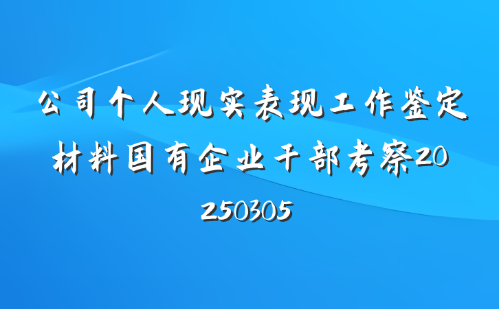 公司个人现实表现工作鉴定材料国有企业干部考察20250305