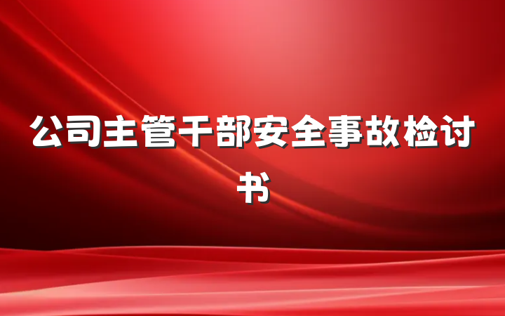 公司主管干部安全事故检讨书