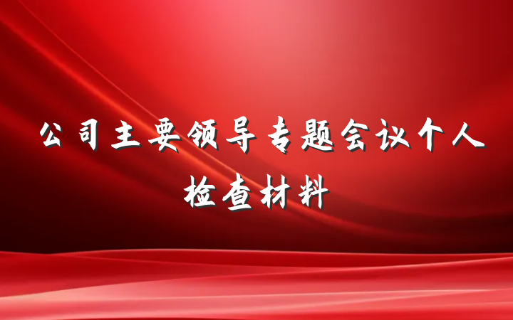 公司主要领导专题会议个人检查材料