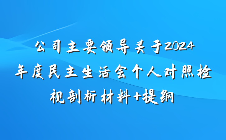 公司主要领导关于2024年度民主生活会个人对照检视剖析材料 提纲