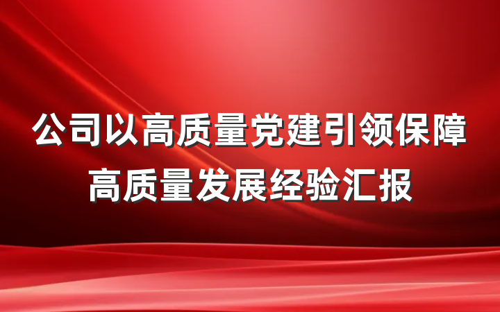 公司以高质量党建引领保障高质量发展经验汇报