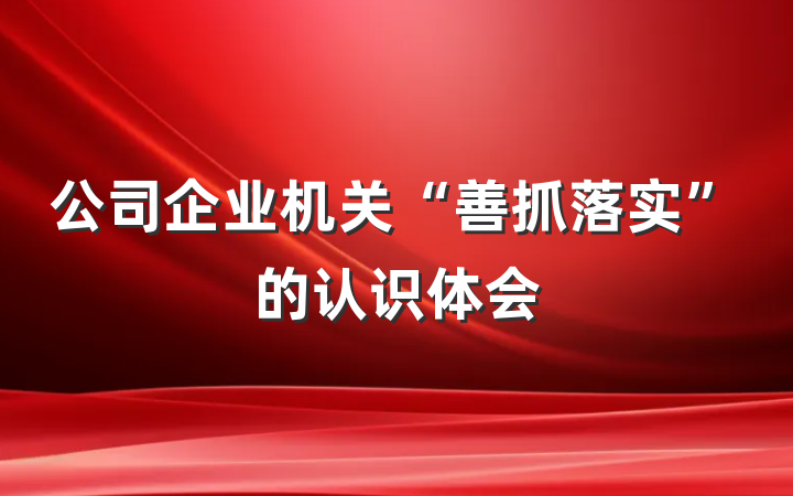 公司企业机关“善抓落实”的认识体会