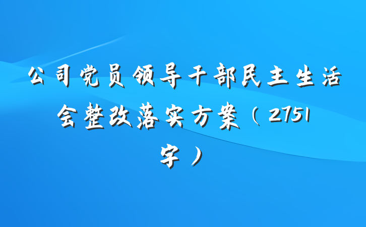 公司党员领导干部民主生活会整改落实方案（2751字）