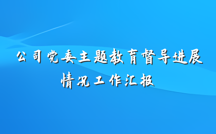 公司党委主题教育督导进展情况工作汇报