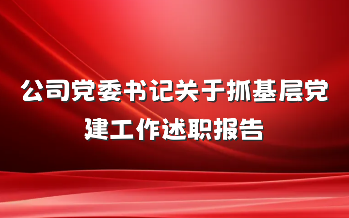 公司党委书记关于抓基层党建工作述职报告