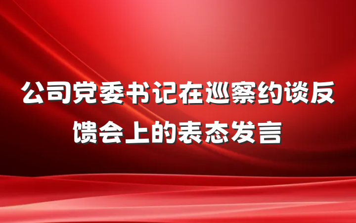公司党委书记在巡察约谈反馈会上的表态发言
