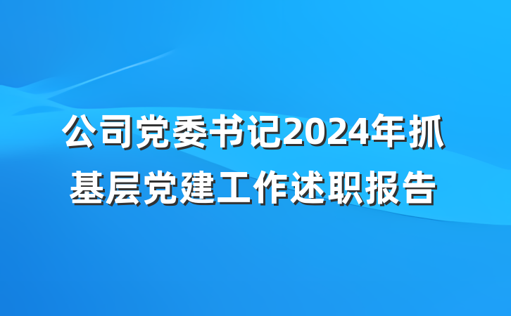 公司党委书记2024年抓基层党建工作述职报告