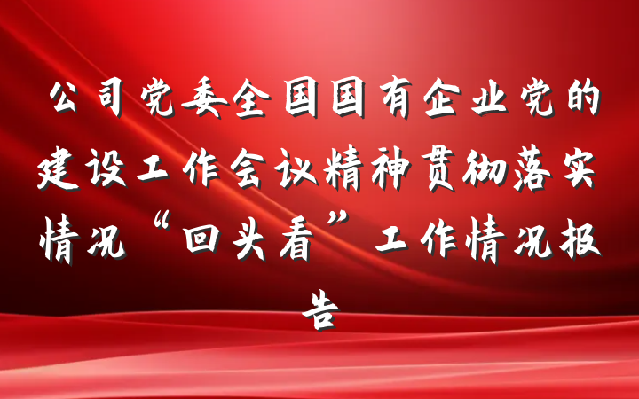 公司党委全国国有企业党的建设工作会议精神贯彻落实情况“回头看”工作情况报告