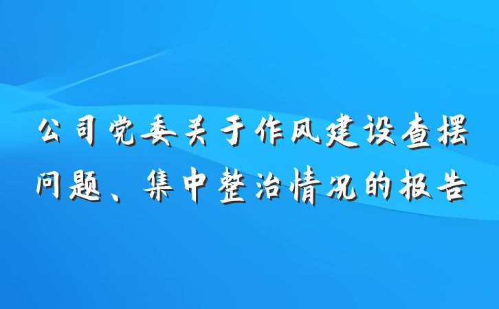 公司党委关于作风建设查摆问题、集中整治情况的报告