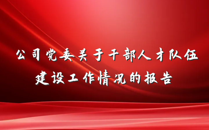 公司党委关于干部人才队伍建设工作情况的报告