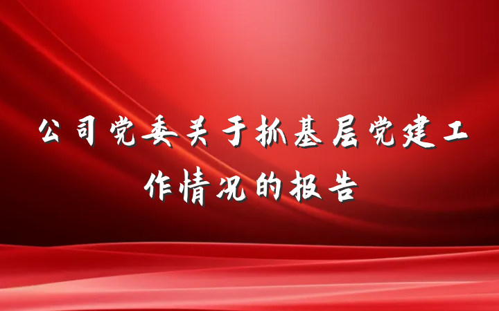 公司党委关于抓基层党建工作情况的报告