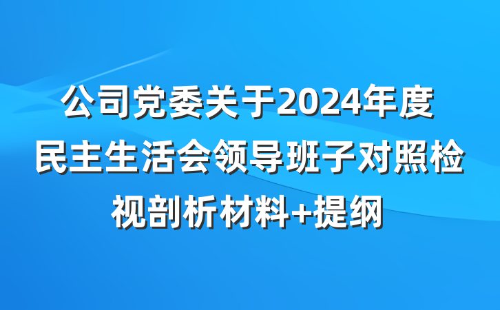 公司党委关于2024年度民主生活会领导班子对照检视剖析材料 提纲