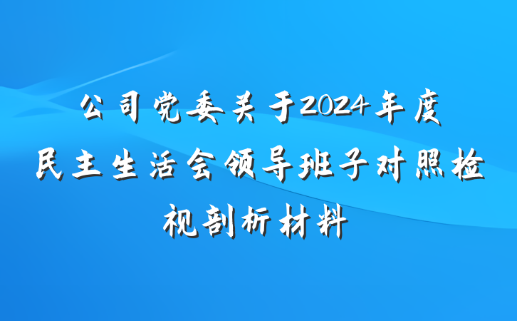 公司党委关于2024年度民主生活会领导班子对照检视剖析材料