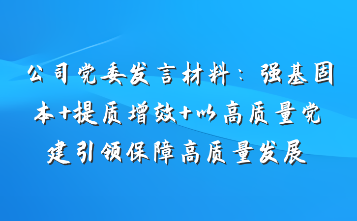 公司党委发言材料：强基固本 提质增效 以高质量党建引领保障高质量发展