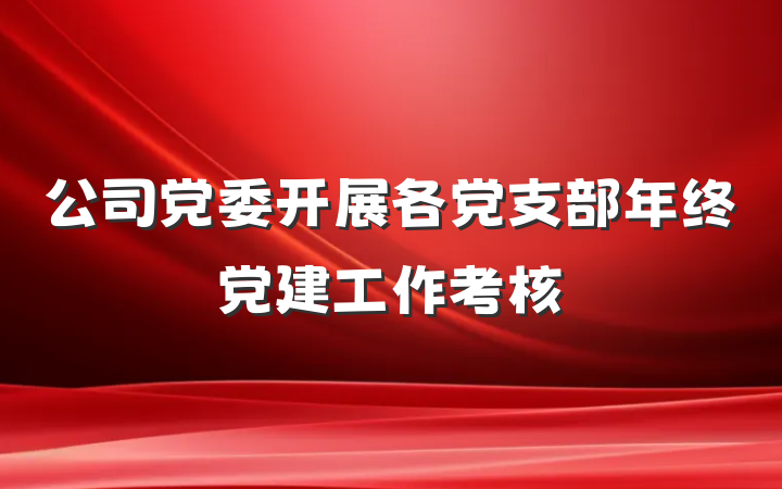 公司党委开展各党支部年终党建工作考核