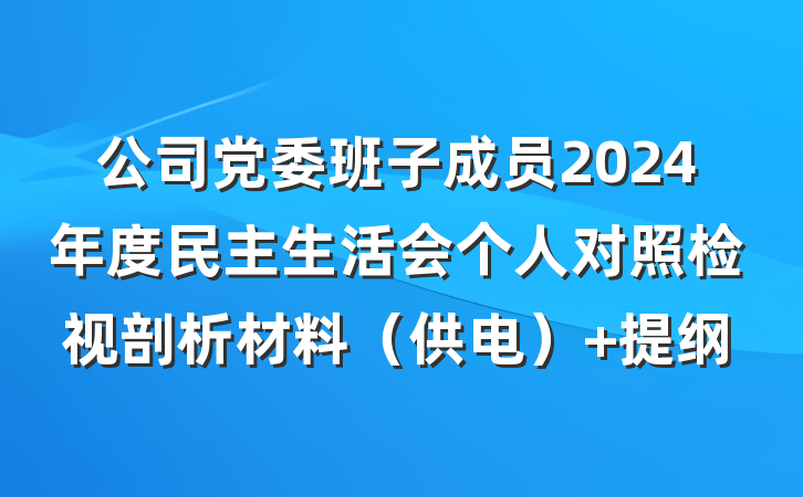 公司党委班子成员2024年度民主生活会个人对照检视剖析材料（供电） 提纲