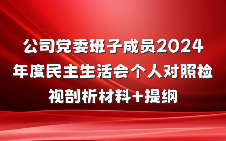 公司党委班子成员2024年度民主生活会个人对照检视剖析材料 提纲